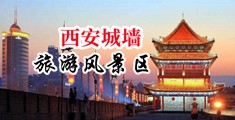 操鸡吧中国陕西-西安城墙旅游风景区